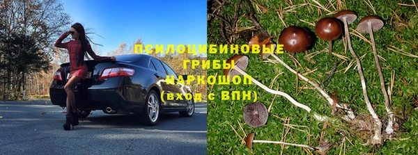 твердый Арсеньев