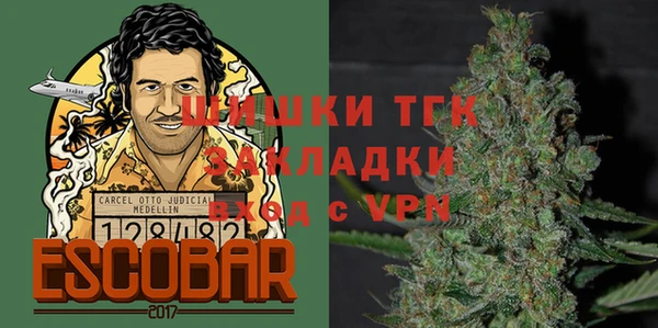твердый Арсеньев