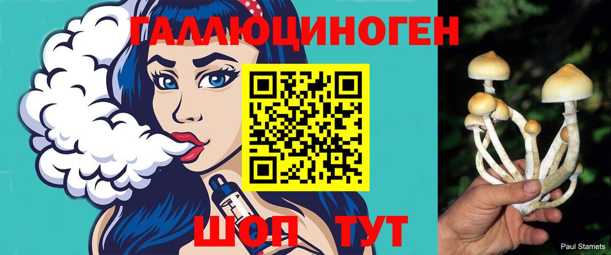 Галлюциногенные грибы мухоморы Шатура